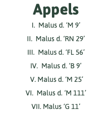 Appels I. Malus d. ‘M 9’ II. Malus d. ‘RN 29’ III. Malus d. ‘FL 56’ IV. Malus d. ‘B 9’ V. Malus d. ‘M 25’ VI. Malus d. ‘M 111’ VII. Malus ‘G 11’